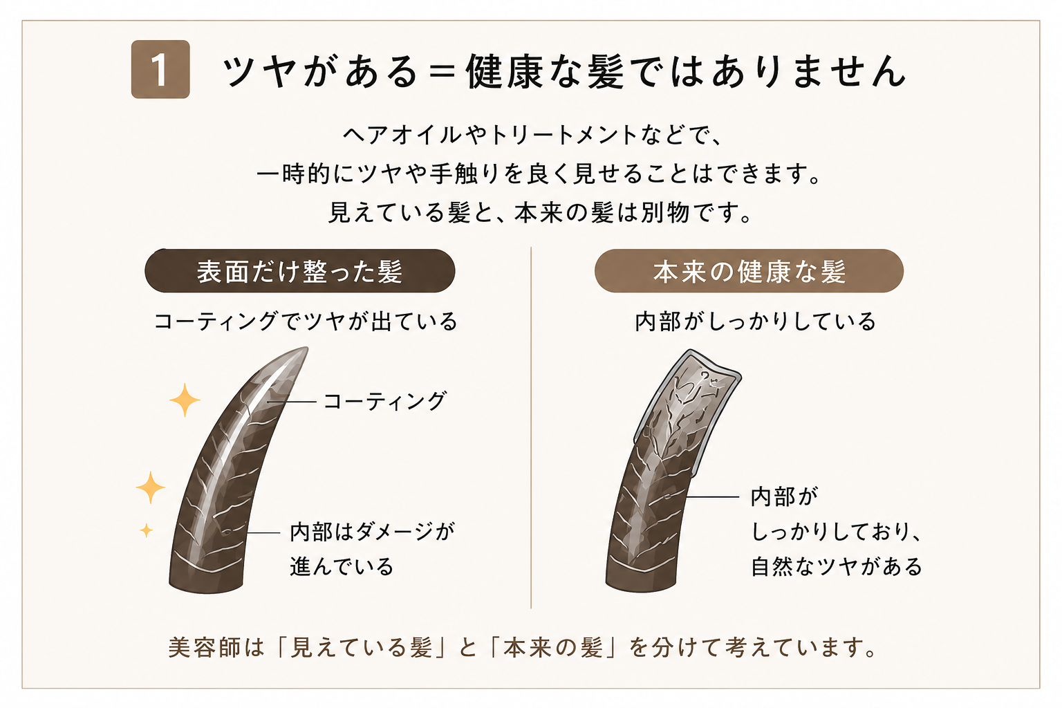 4d72c25b-fef0-48ad-a7c7-c9dcb0cb5d2c.png