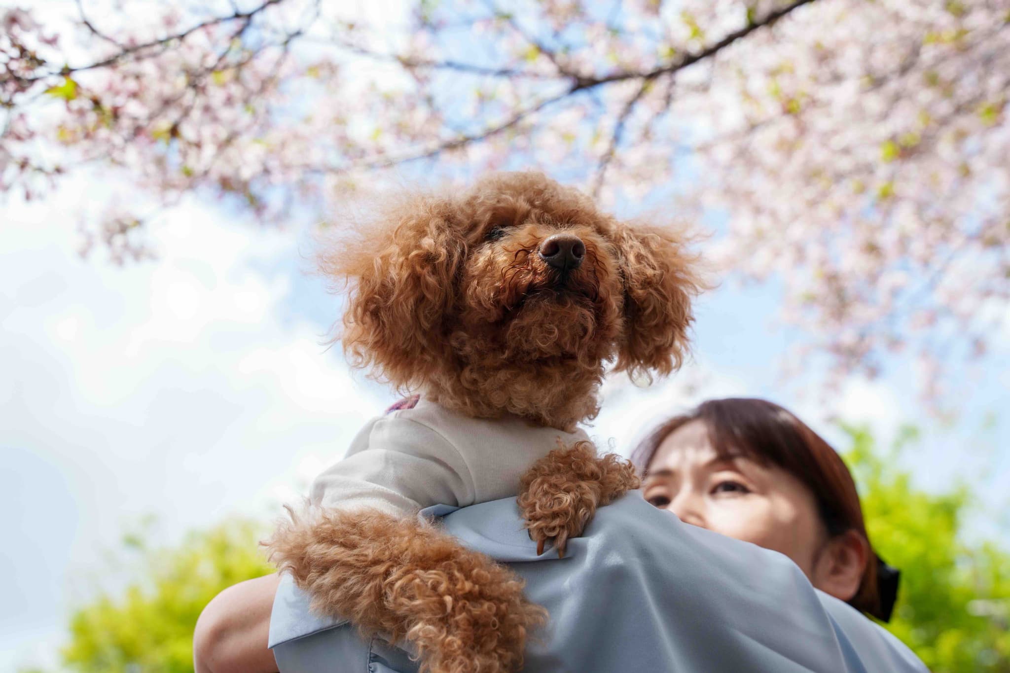 業務内容