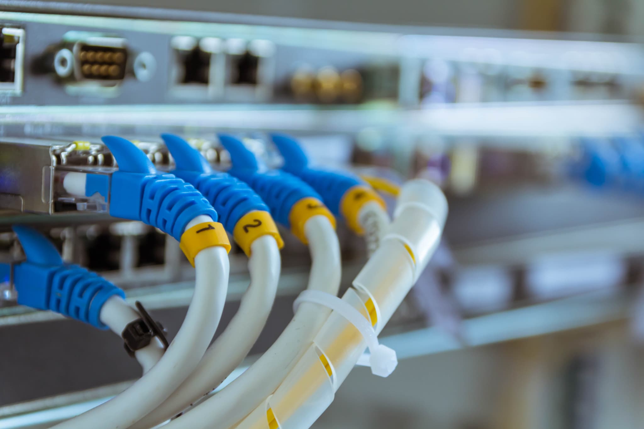 私たちについて