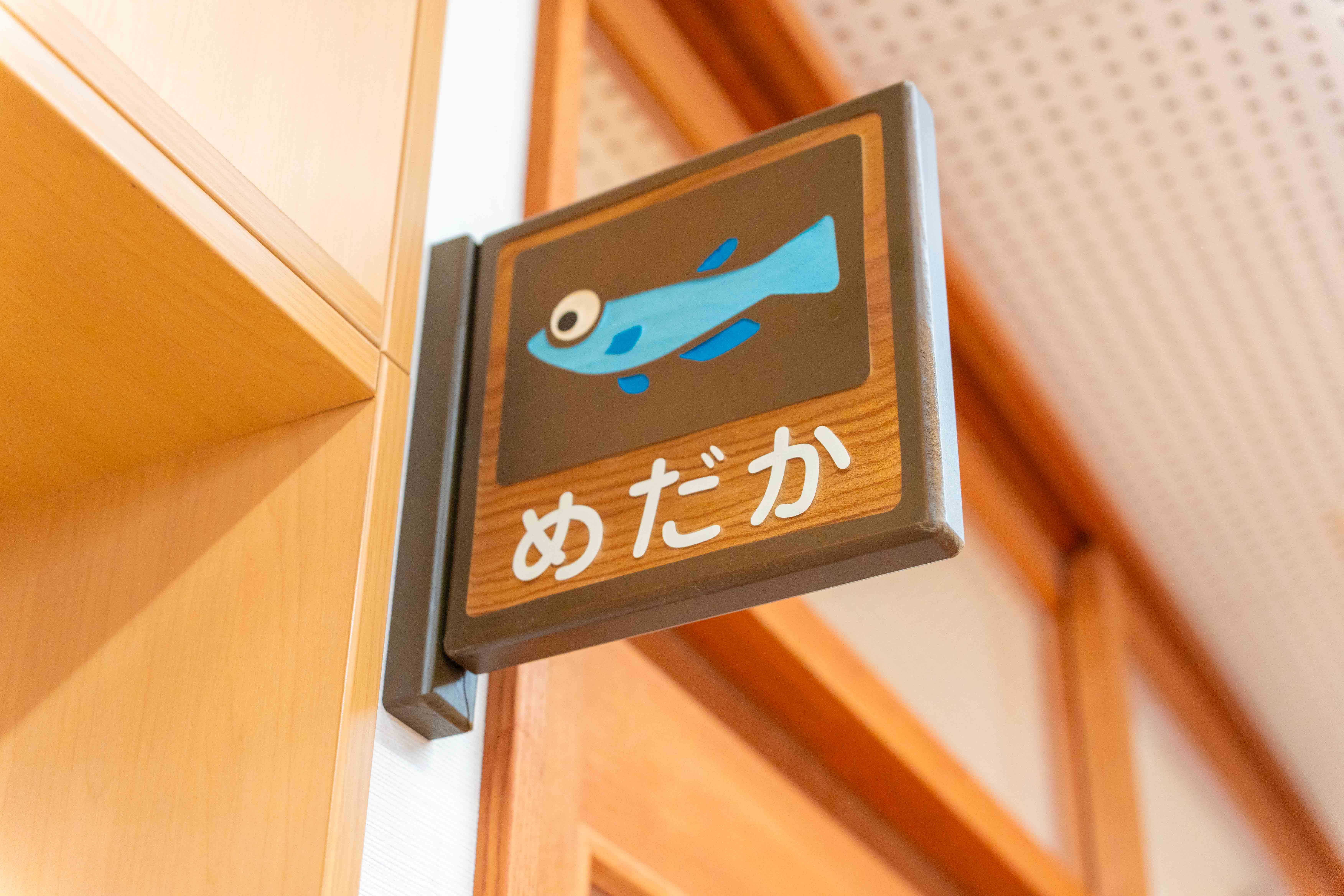 募集要項画像