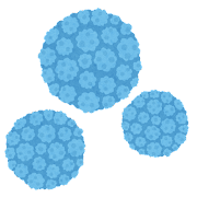 unnamed (40).png
