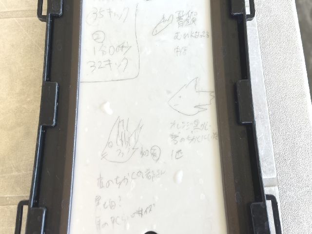 207013.jpg