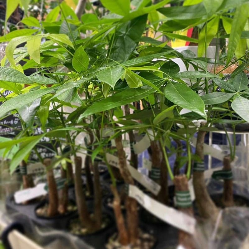 o1080107815270294883 (1).jpg