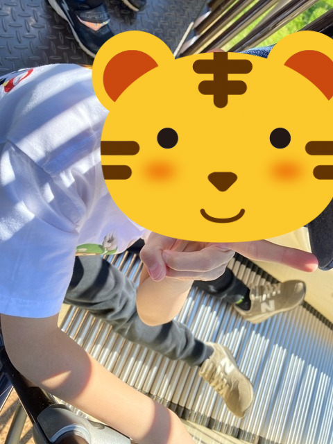 s10358-2-fotor-20260629105532.png