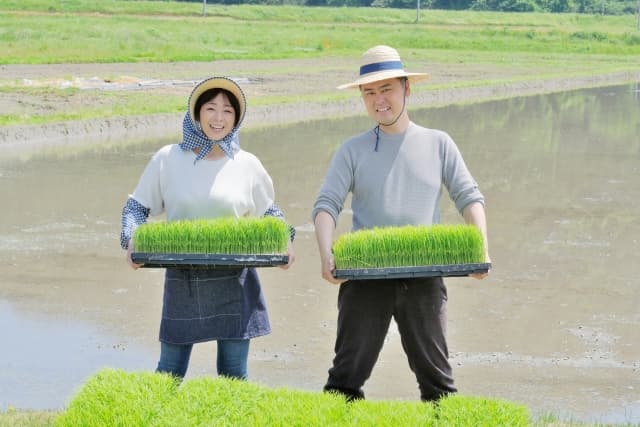 業務内容