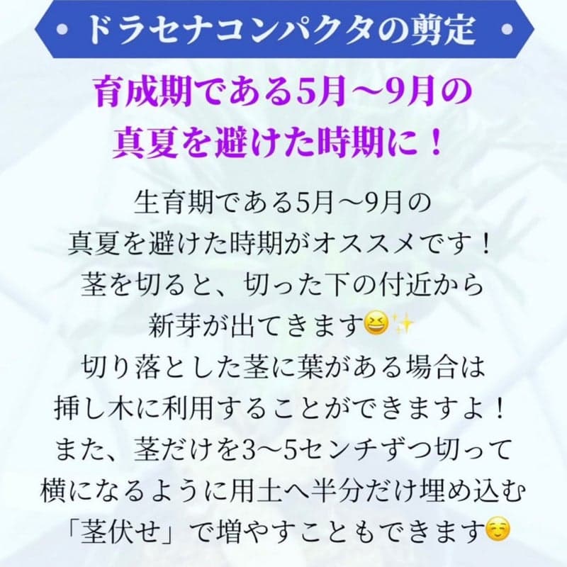 o1080108015275361768 (1).jpg