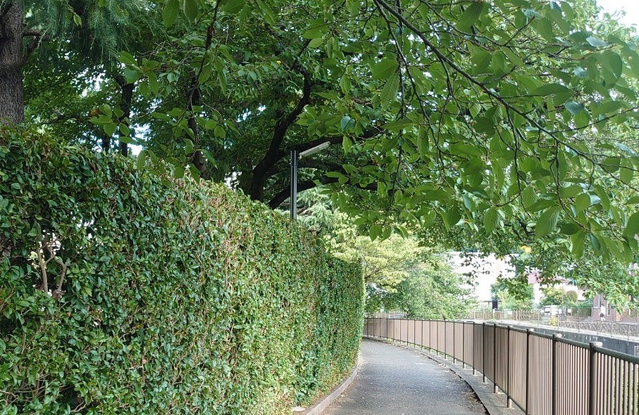 募集要項画像