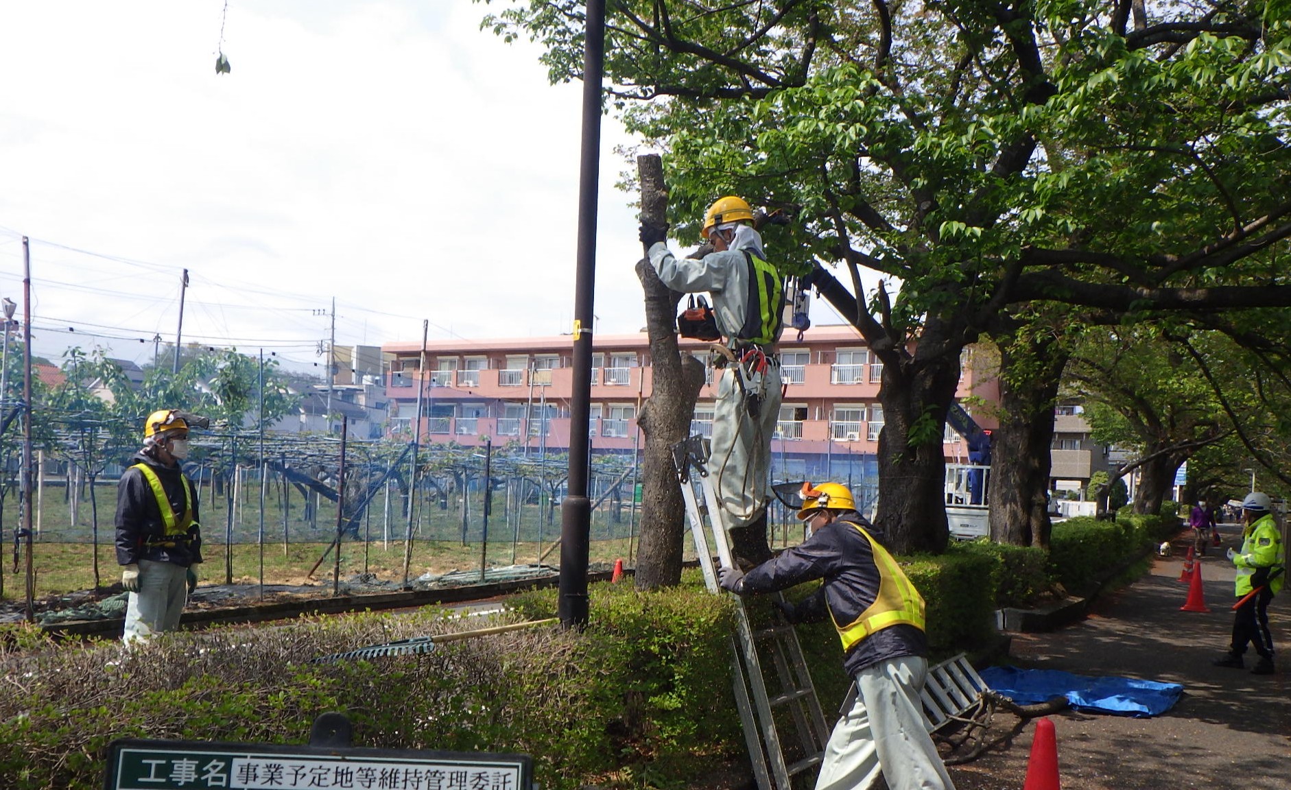 募集要項画像