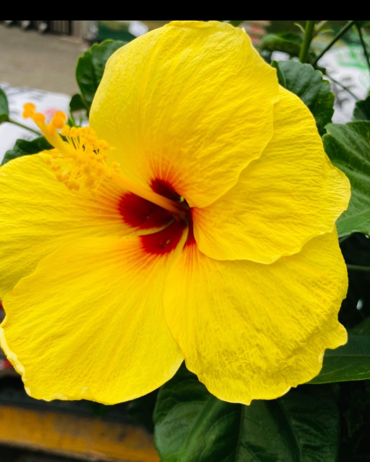 cbd7fd74ee005ba6fcf6241a1da0aabc6f984f5b