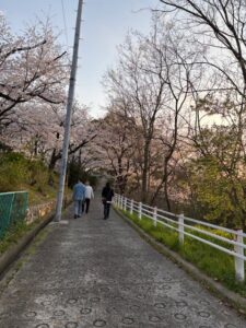花見2-225x300.jpg