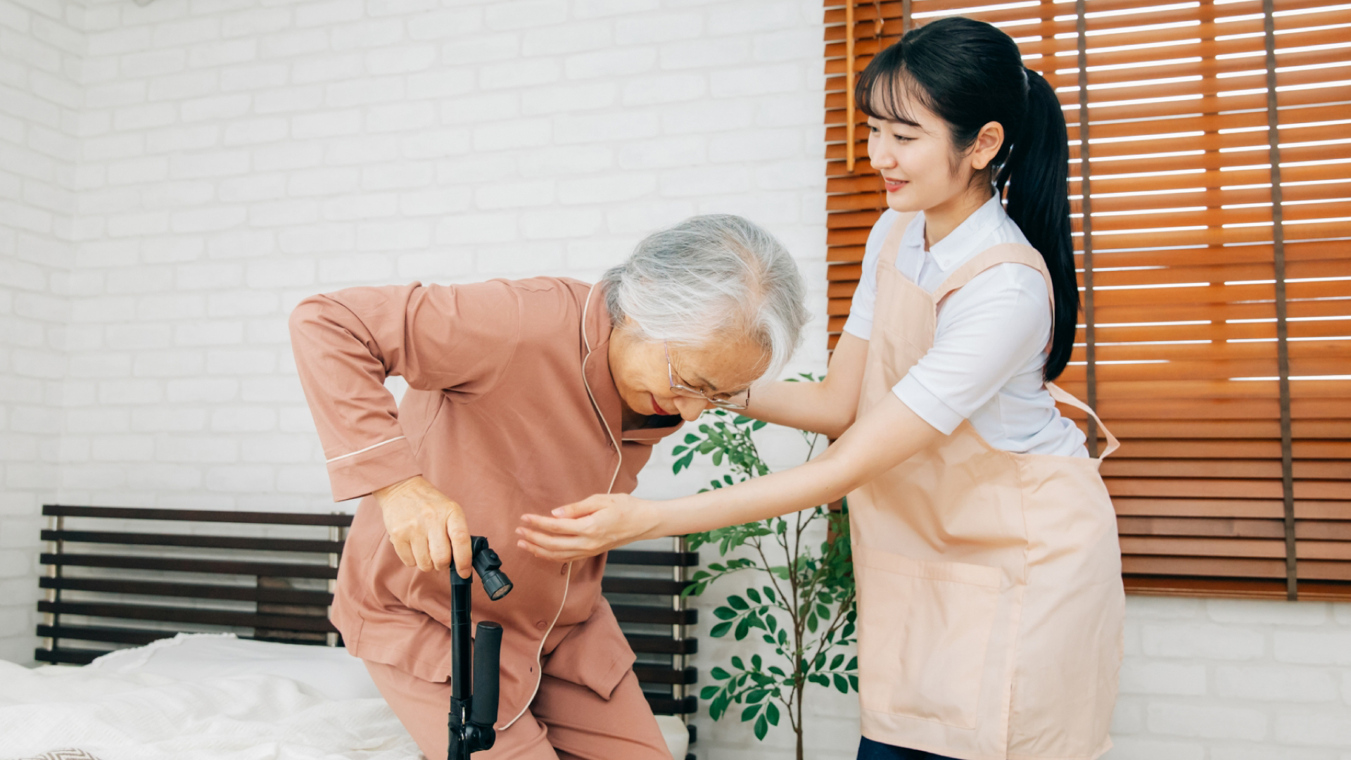 募集要項画像