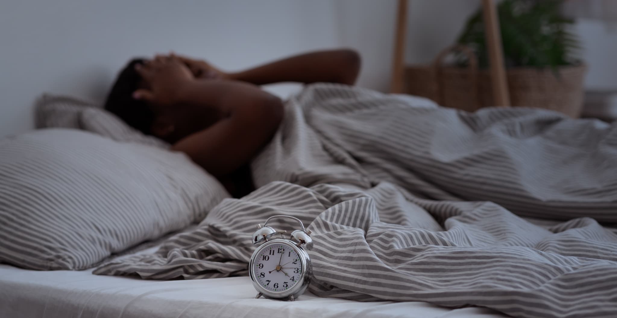 AdobeStock_410127162 (1).jpeg