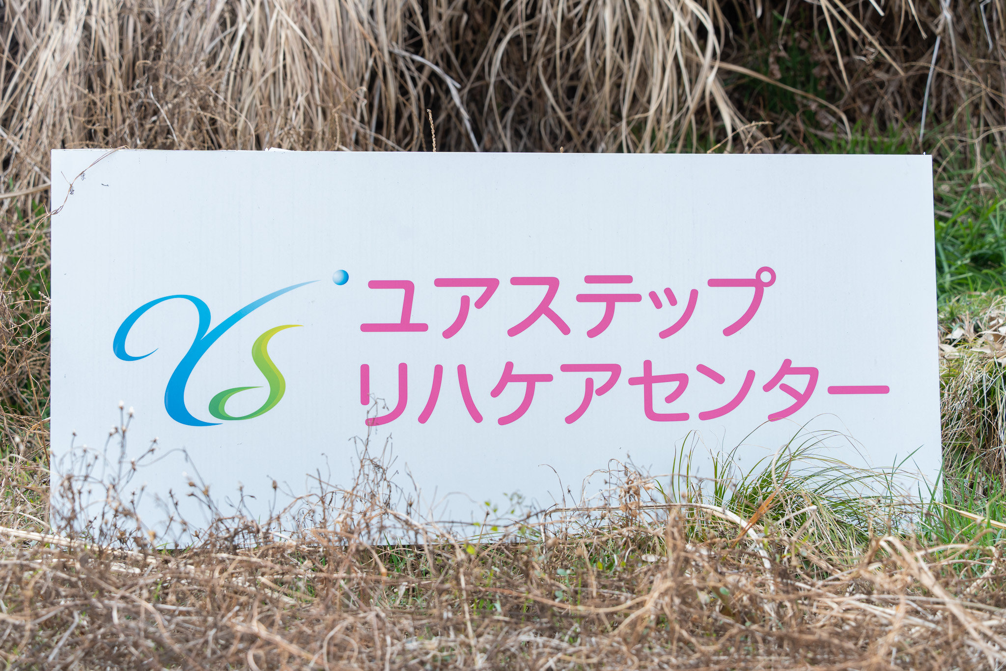 メインビジュアル画像