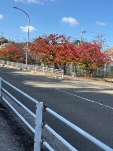 紅葉1-225x300.jpg