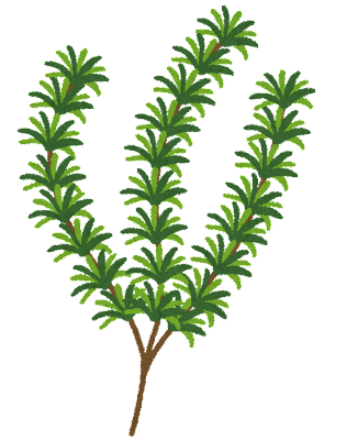 unnamed (29).png