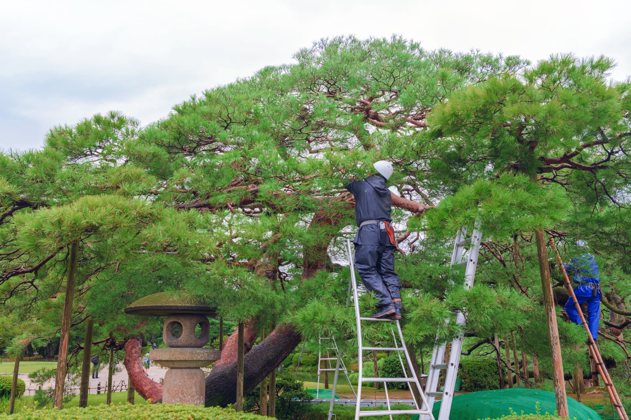 募集要項画像
