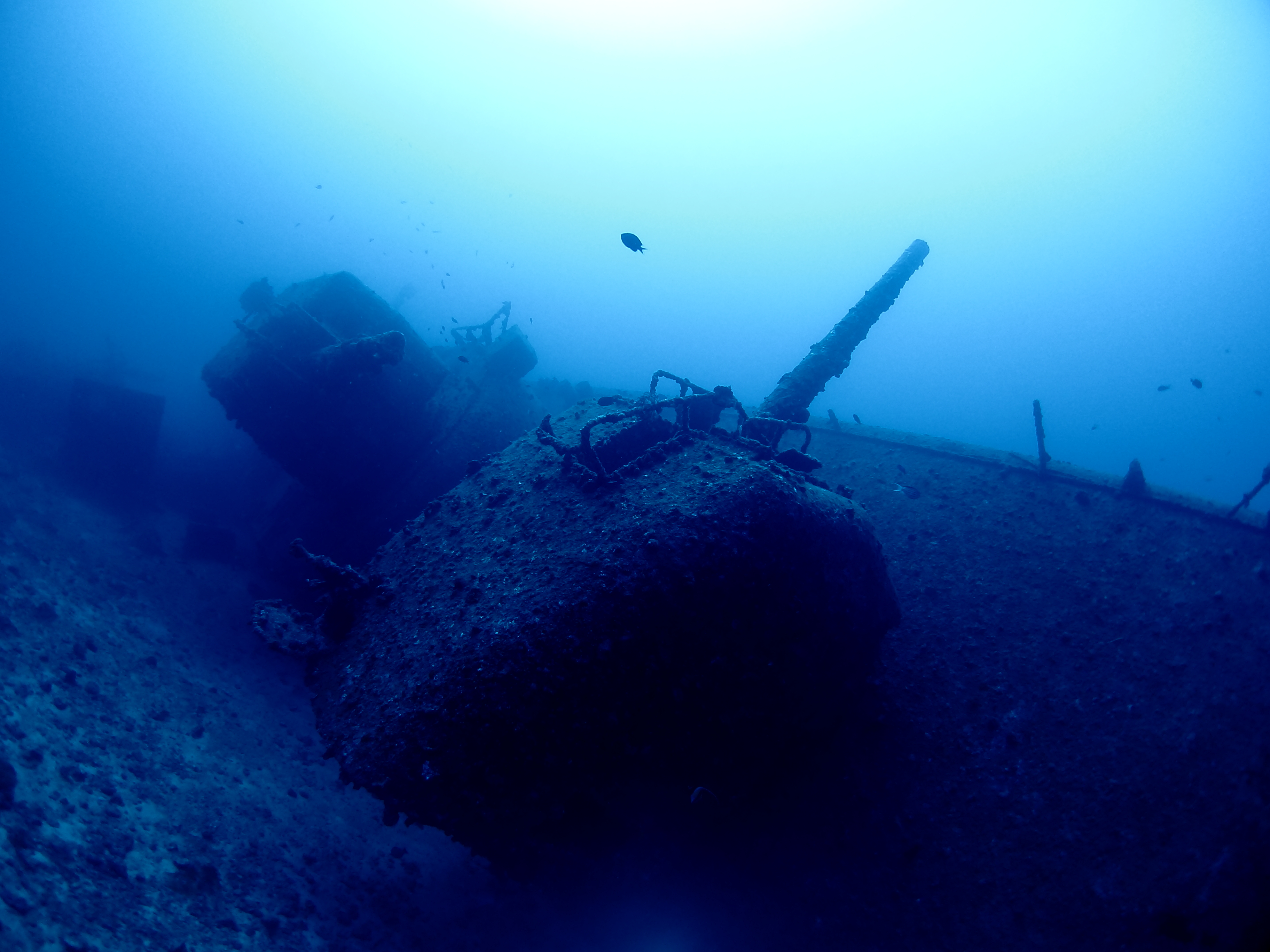 IMG_1111.JPG
