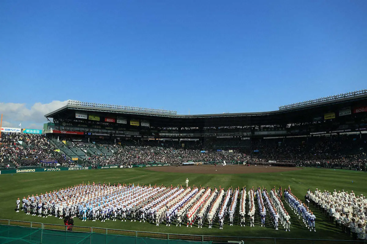 高校野球の学校選び｜後悔しないための5つのポイント