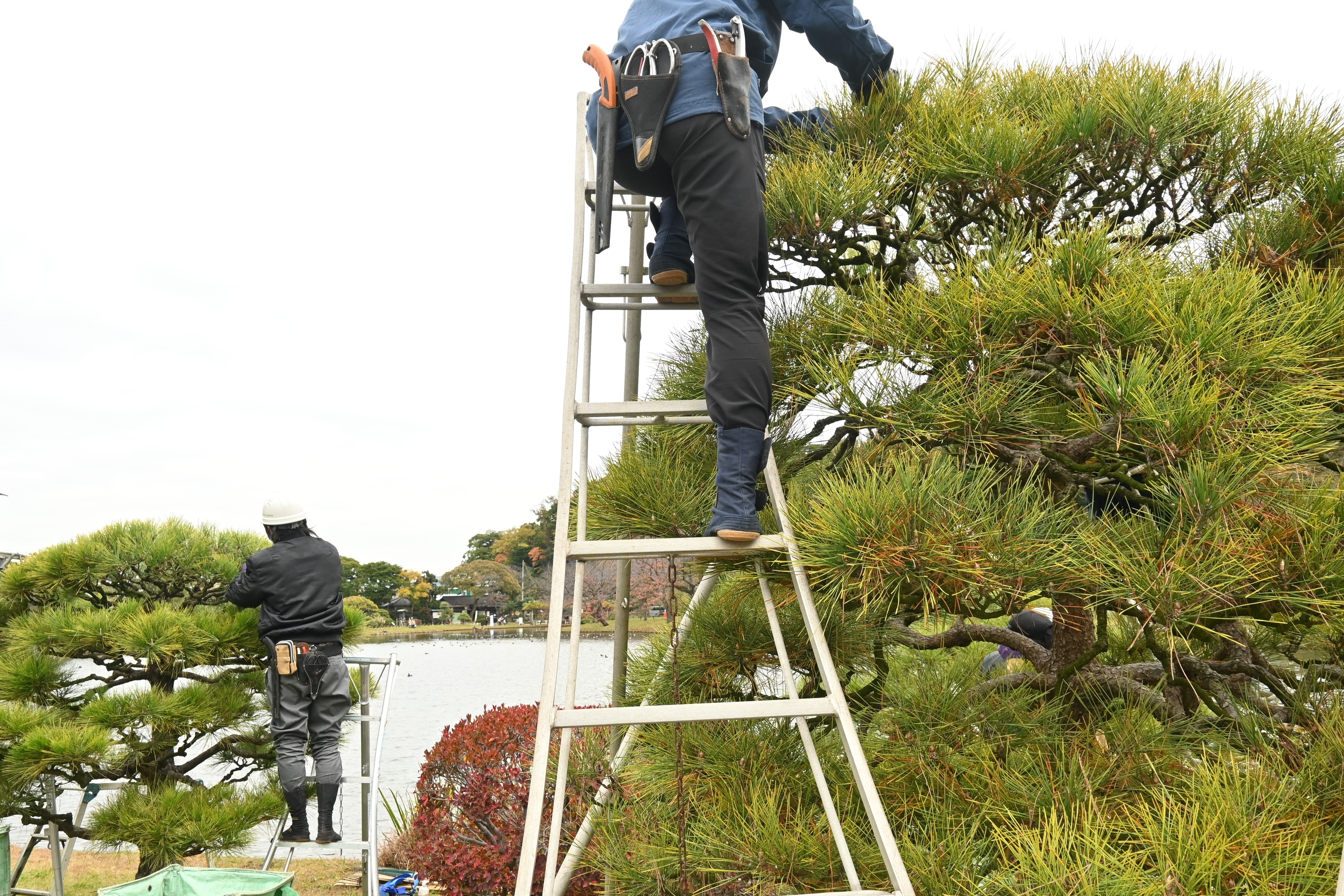 事業内容
