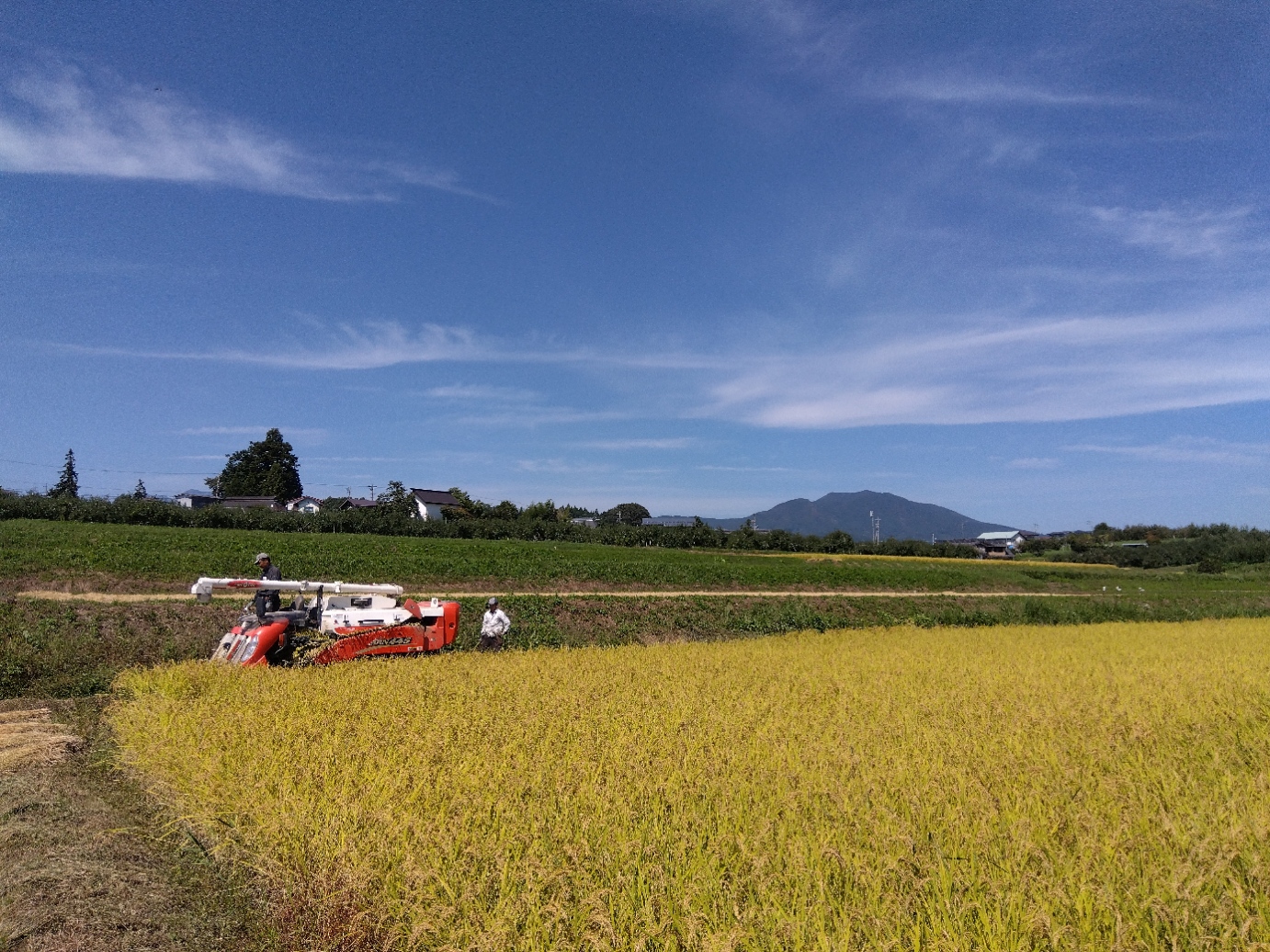 私たちの仕事について