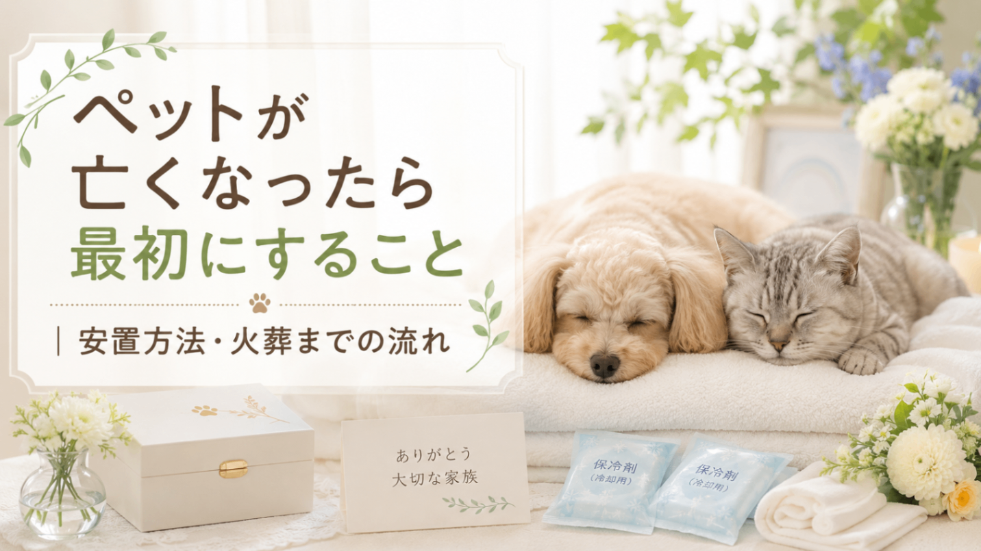 【News】ペットが亡くなったら最初にすること｜ 安置方法・火葬までの流れ
