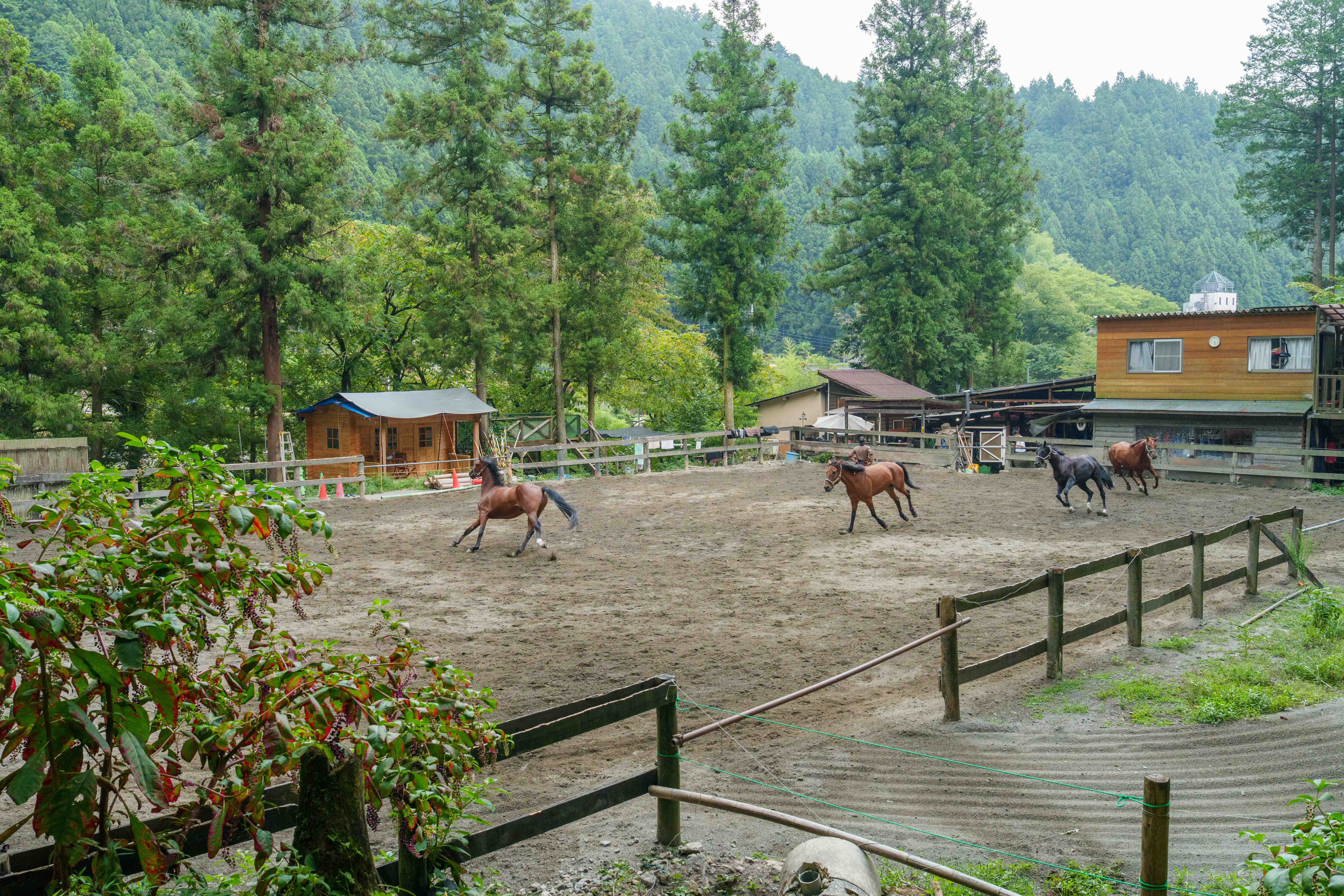 私たちについて