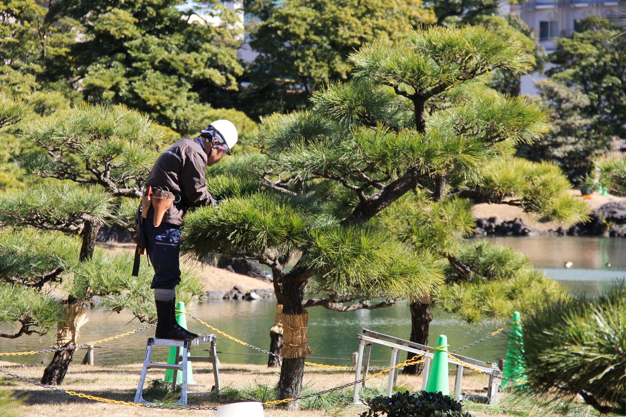 募集要項画像