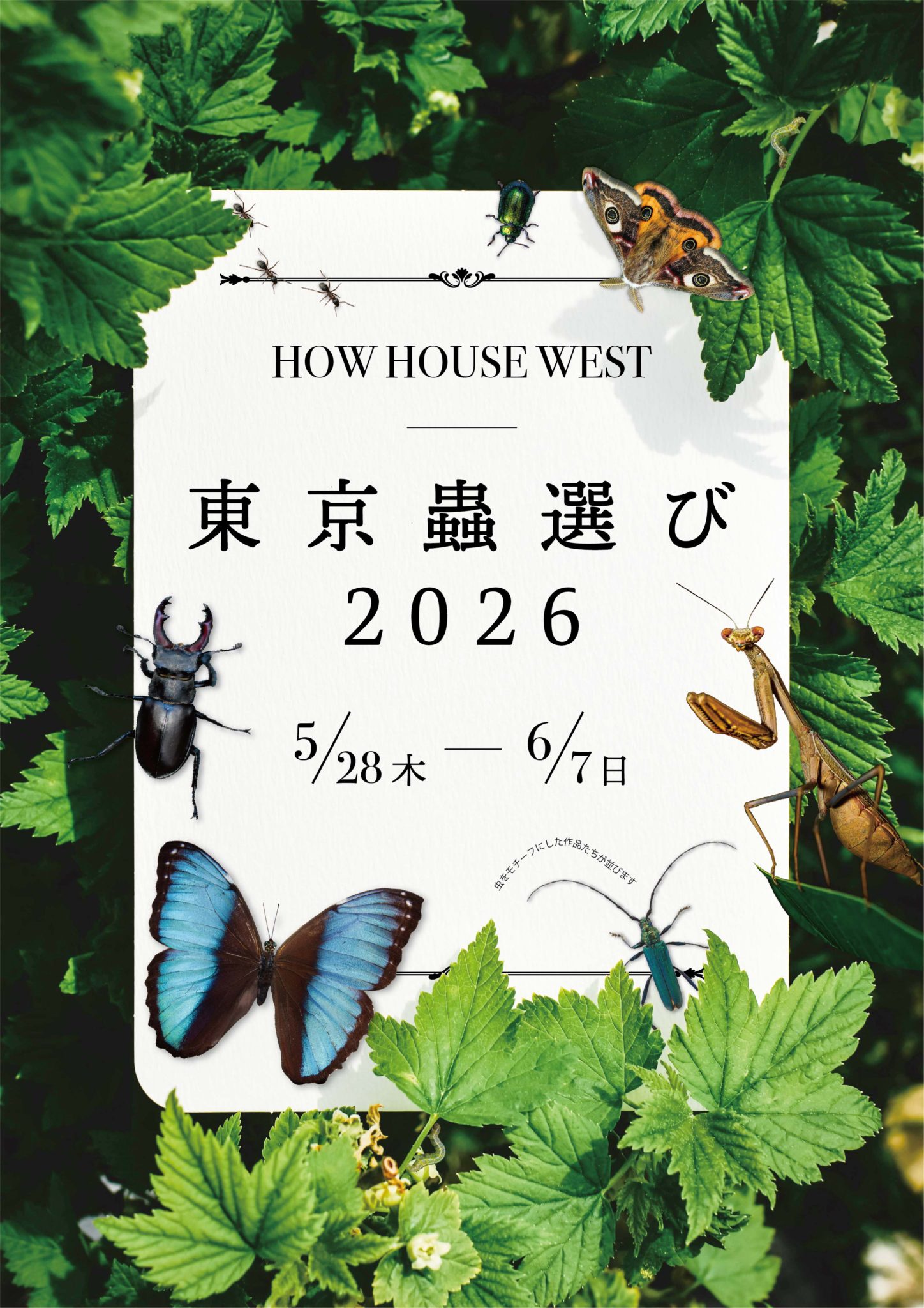 A4_東京蟲選び2026小-1448x2048.jpg
