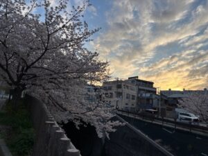 花見1-300x225.jpg