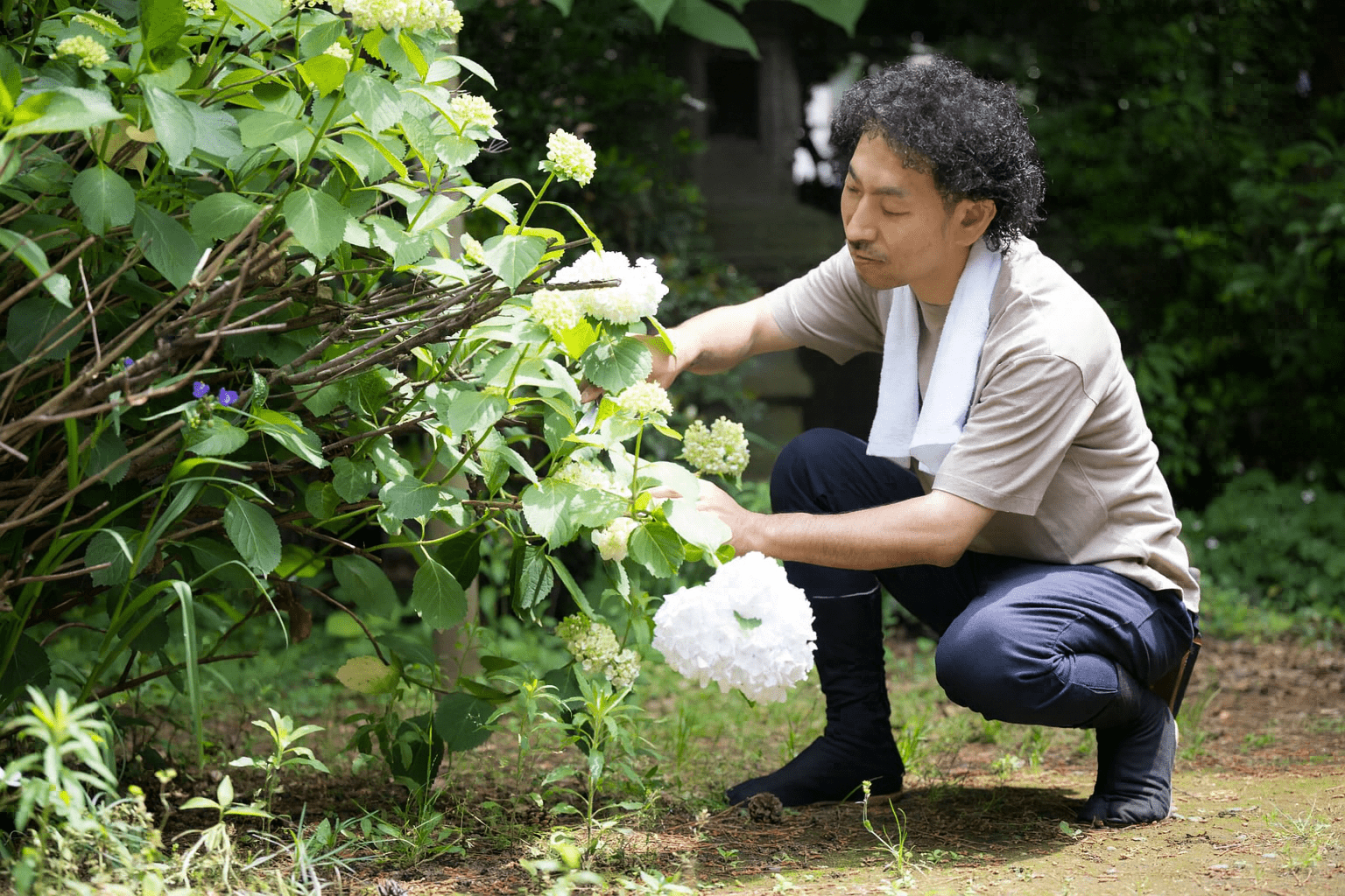 業務内容