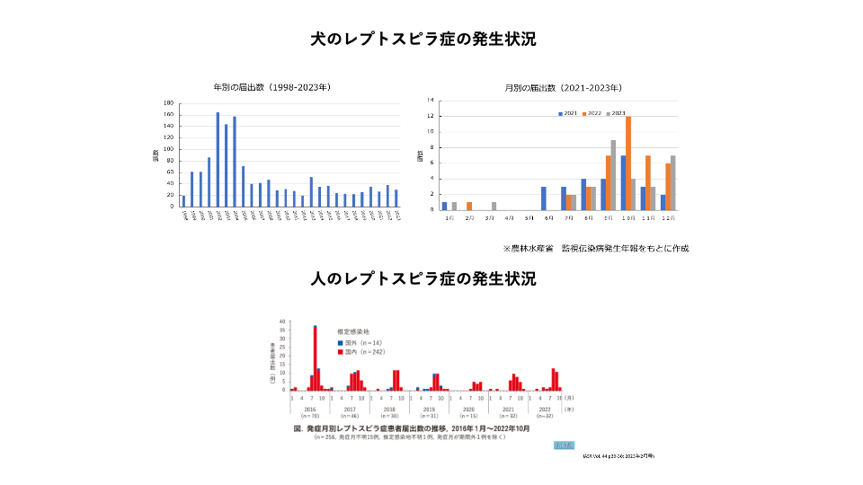 レプトスピラの発生状況　グラフ