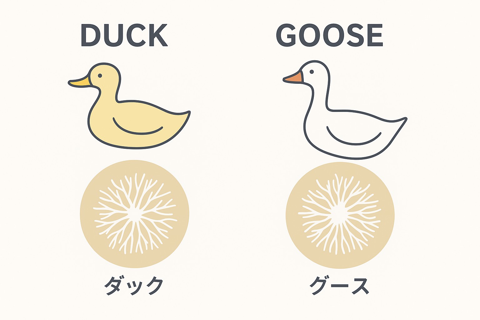 ダックとグースの違い.jpg