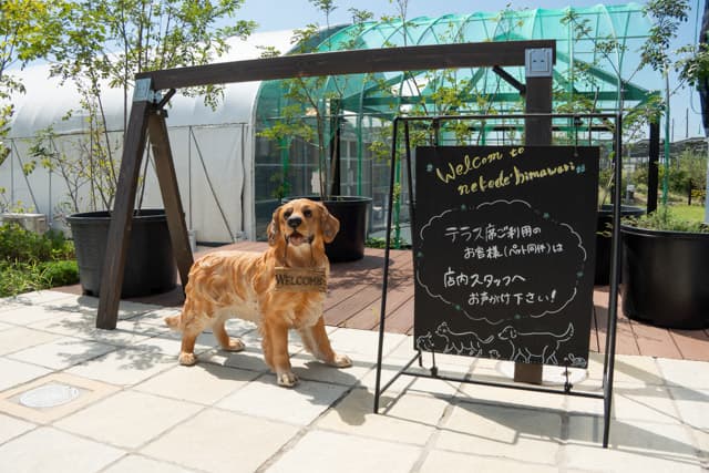 募集要項画像