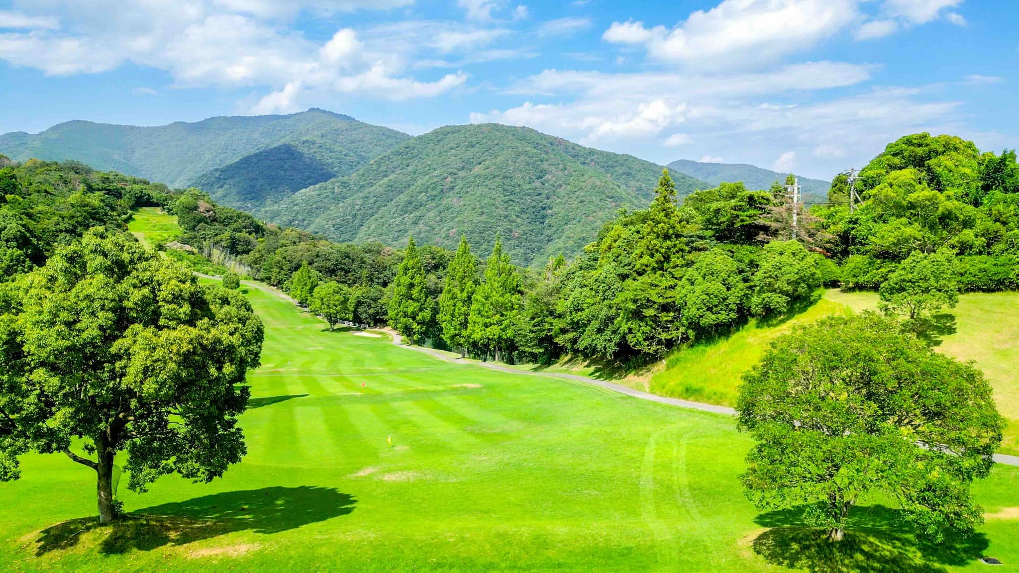 私たちについて