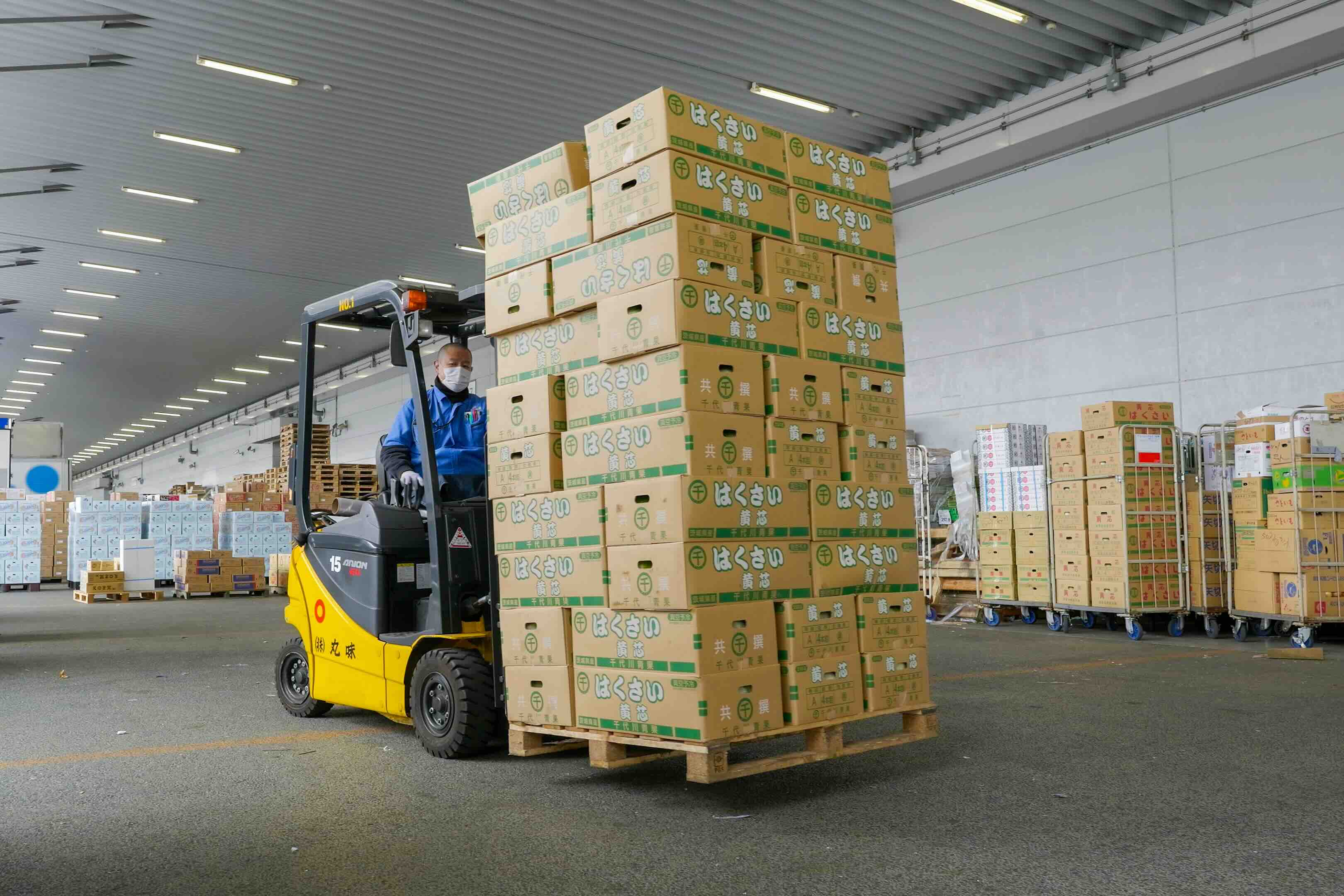 私たちについて