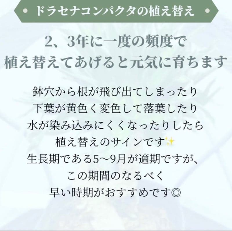 o1080107815275361765 (1).jpg