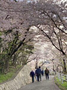 桜-225x300.jpg