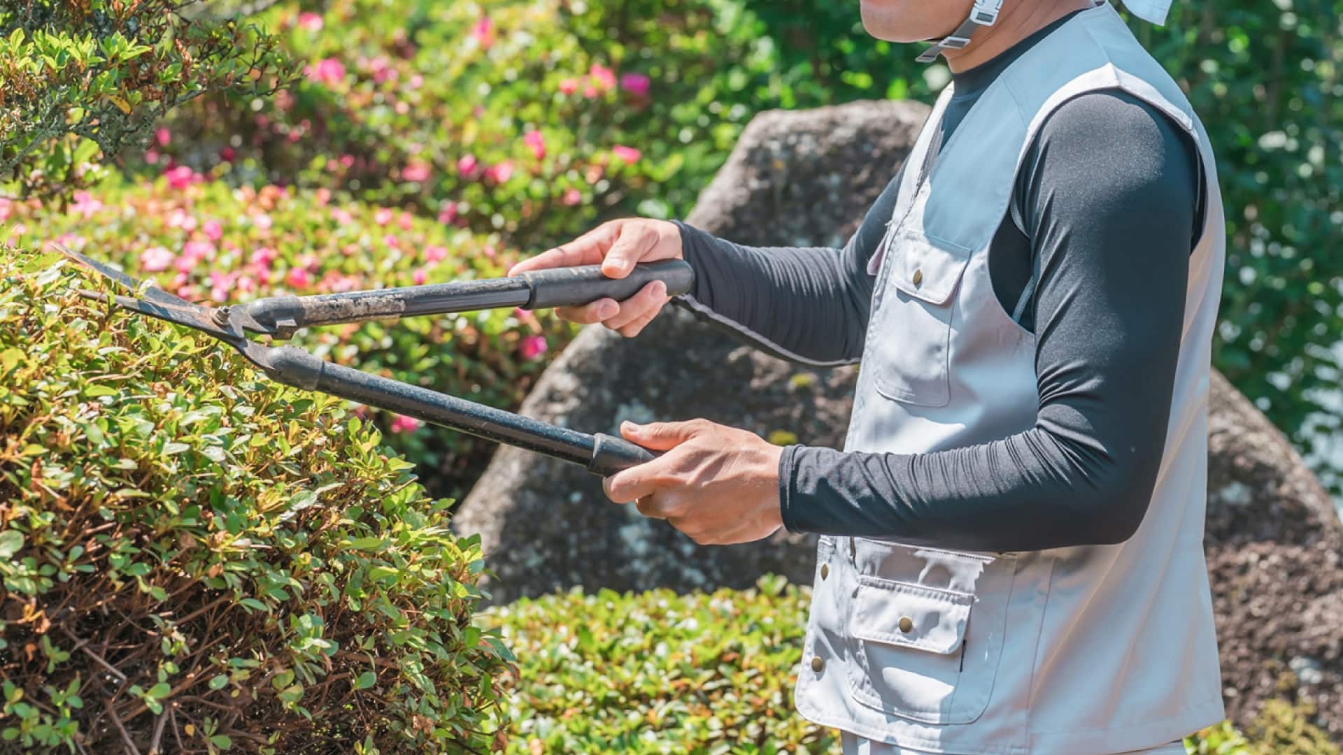 私たちについて