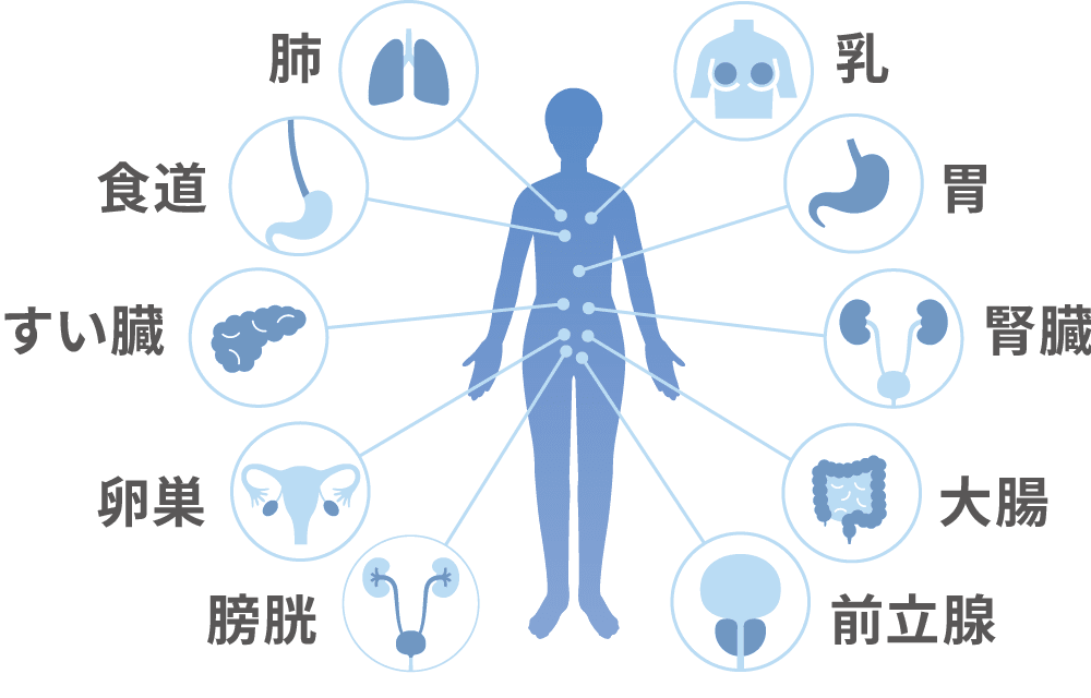 20250909113039_5f1e7272a2aaf7736db34da8d3d6e0c7 (1).png