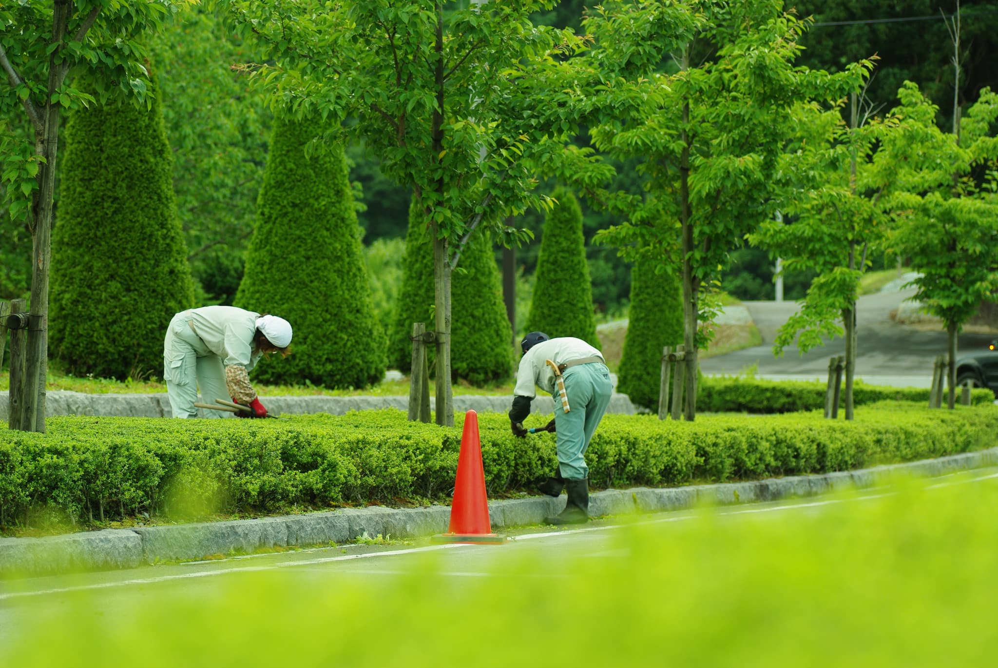 事業内容について