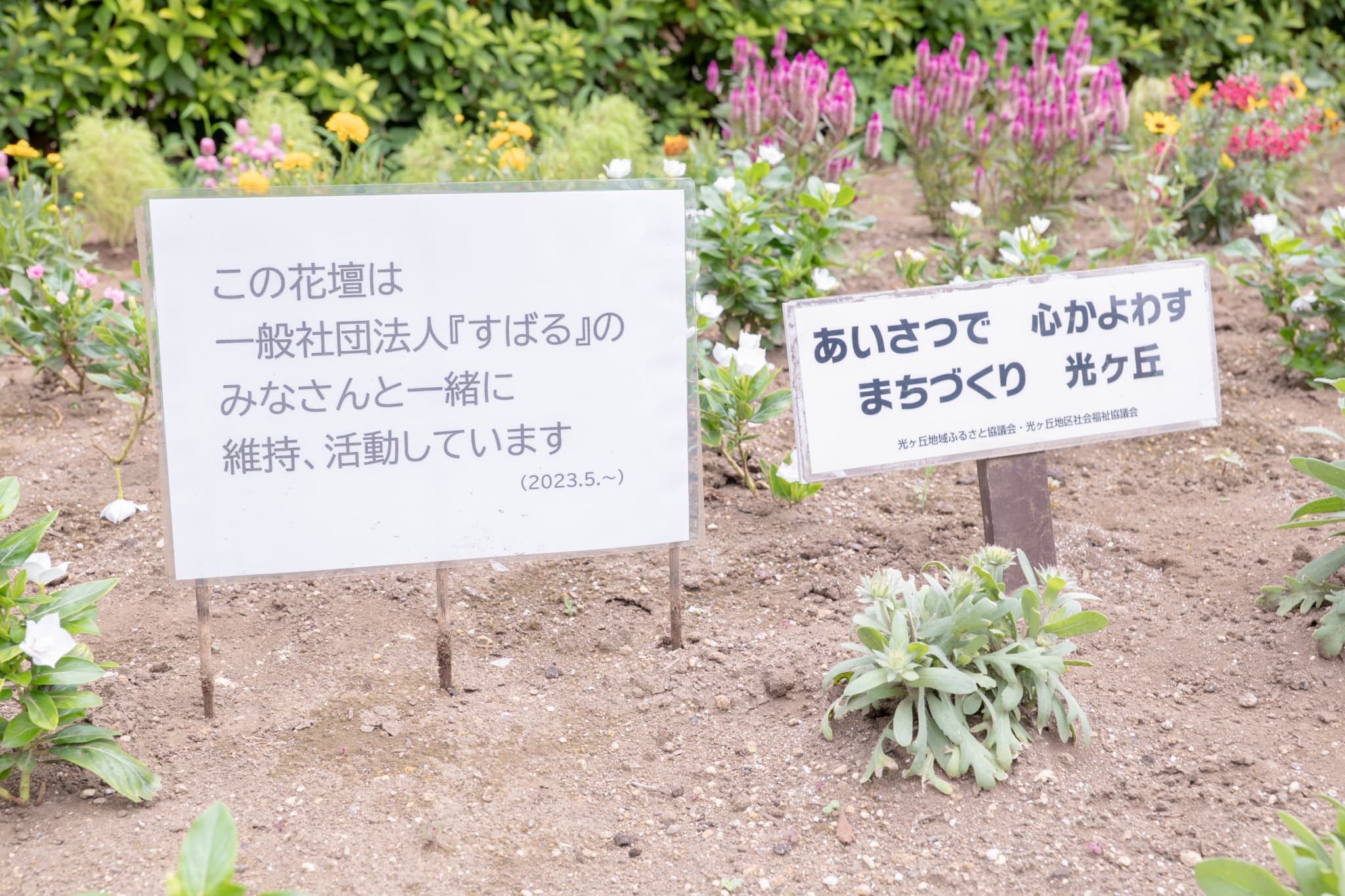 業務内容