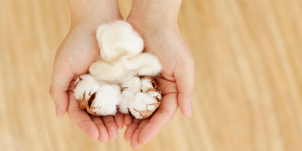 cotton-1.jpg