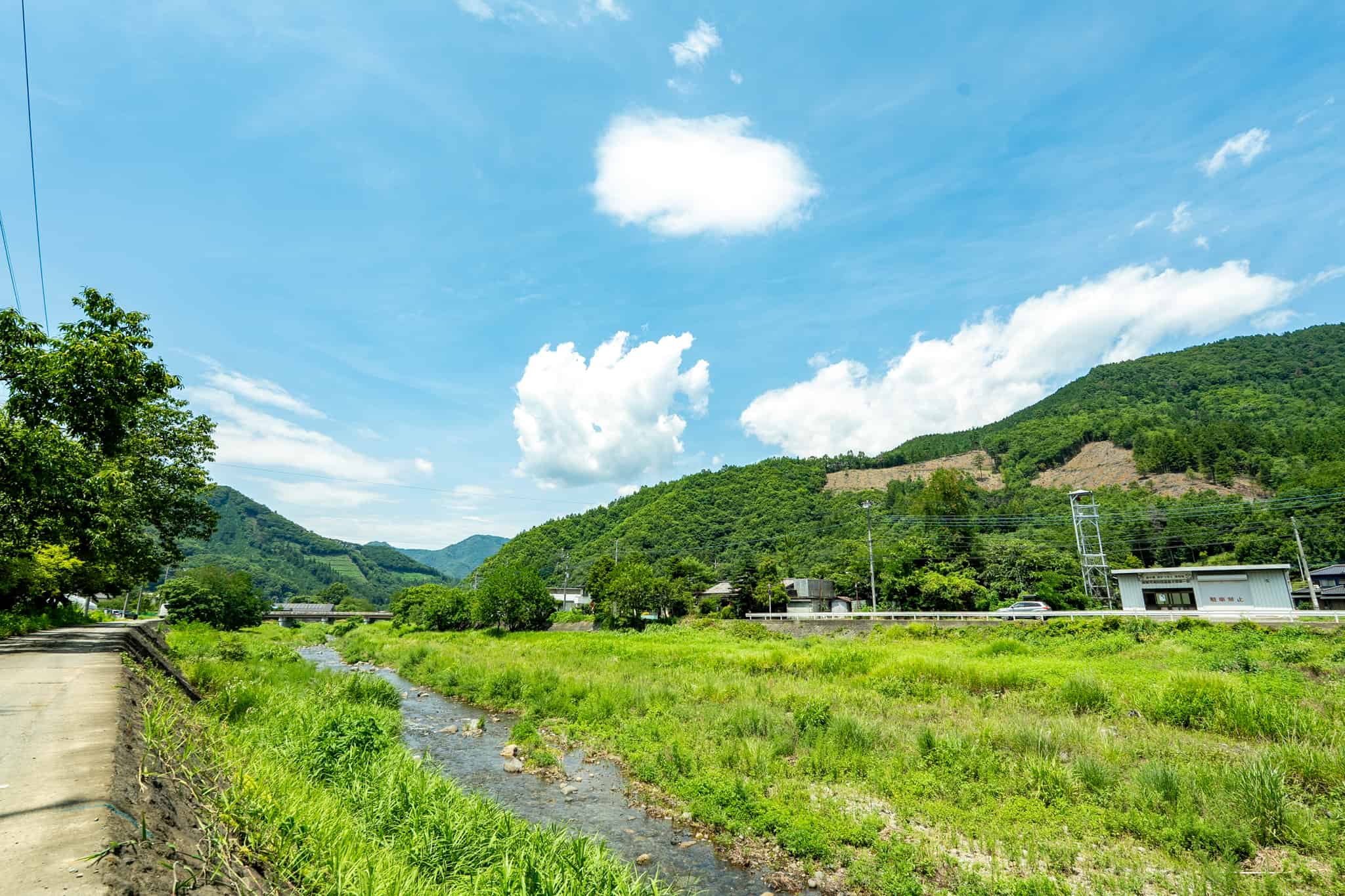 募集要項画像