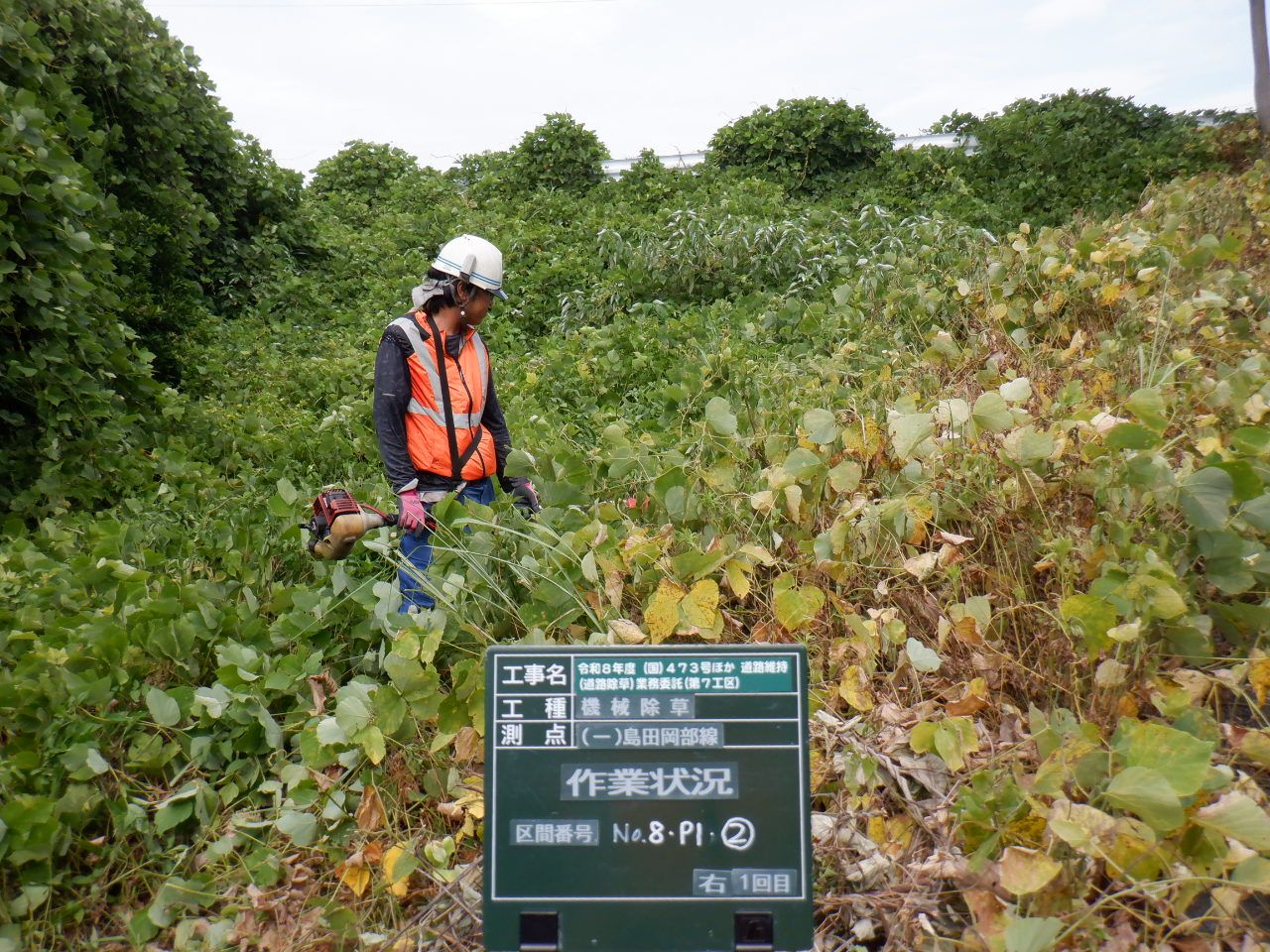 募集要項画像