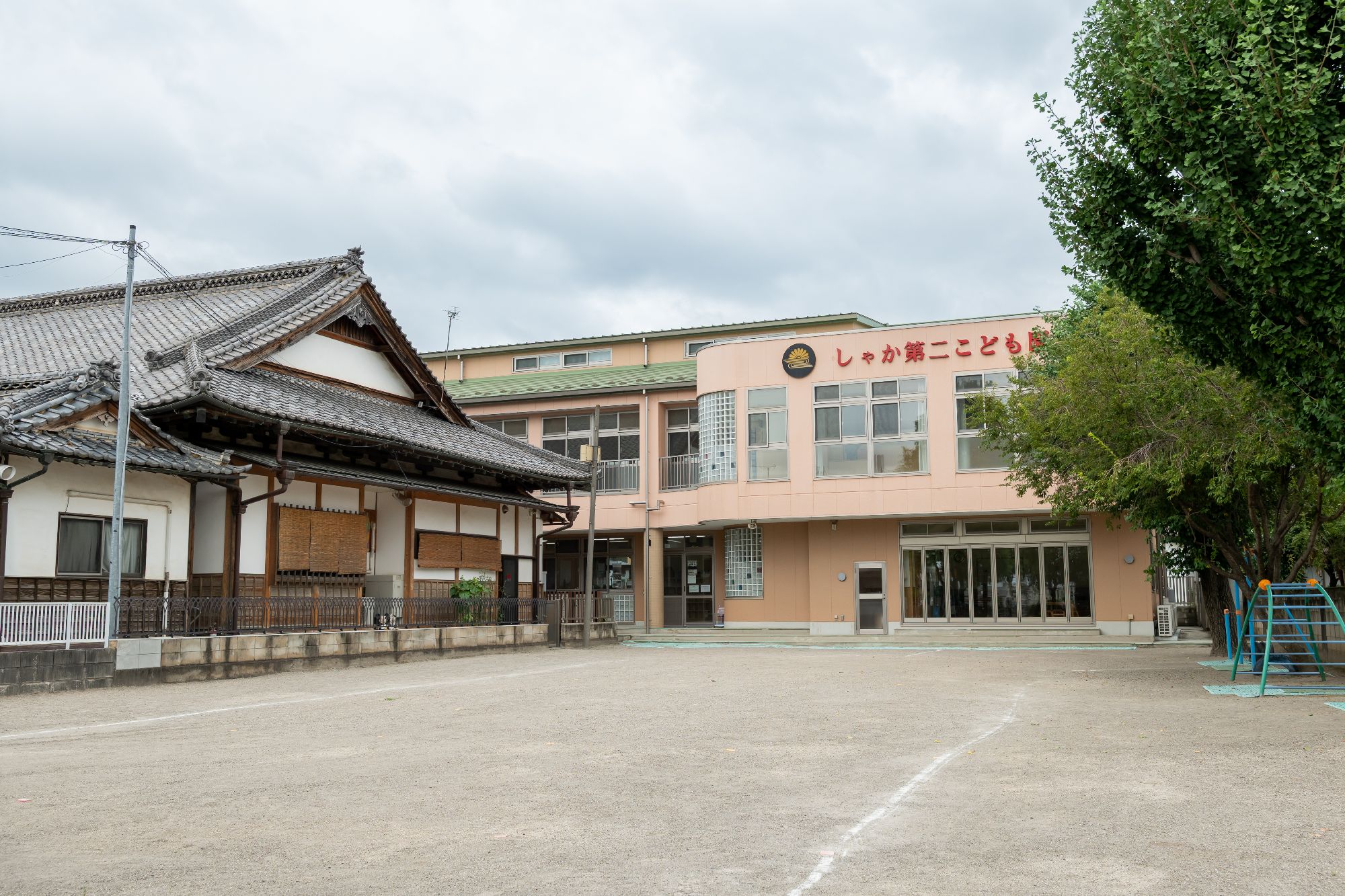 法人について
