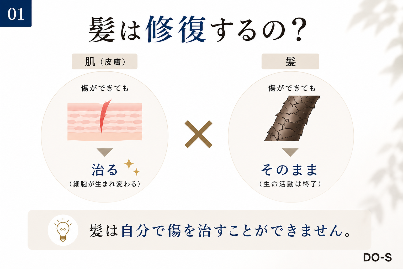 94C87011-7C57-4274-8056-B34988F95759.png