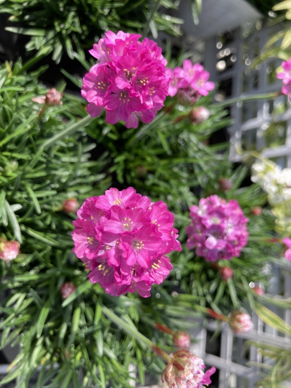 fca422b919d5073fd9e66d983292b746611844c7