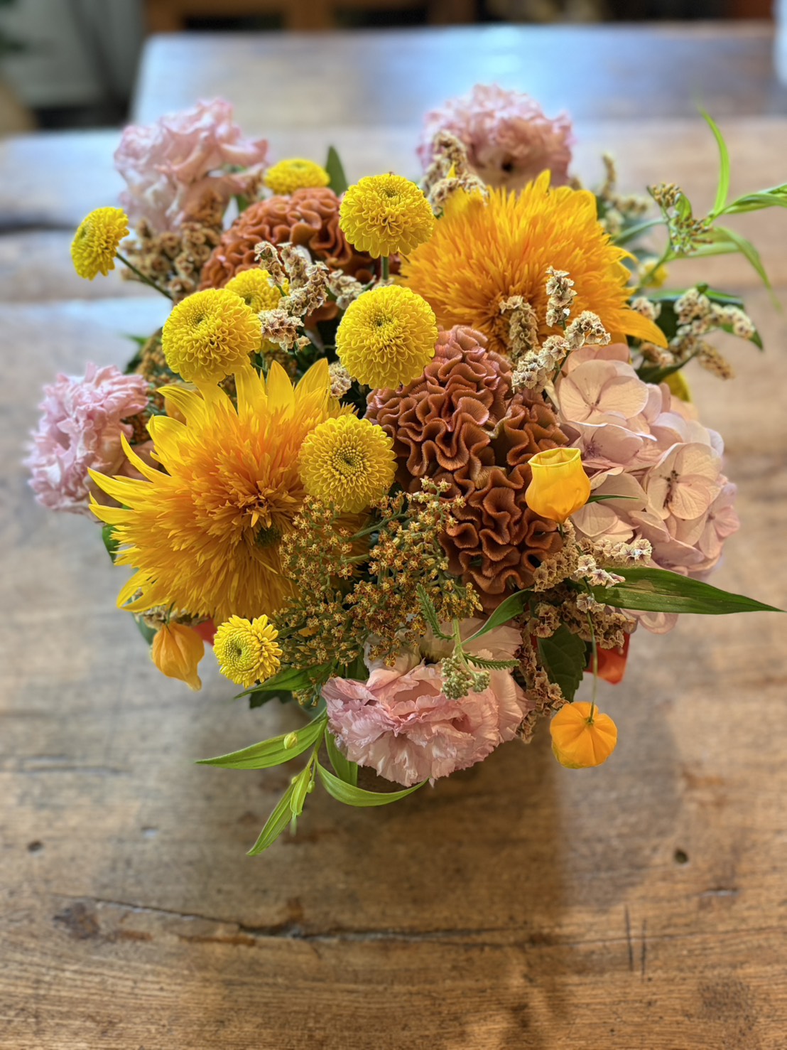 樹花工房＿7月3日（金）掲載分①.jpg