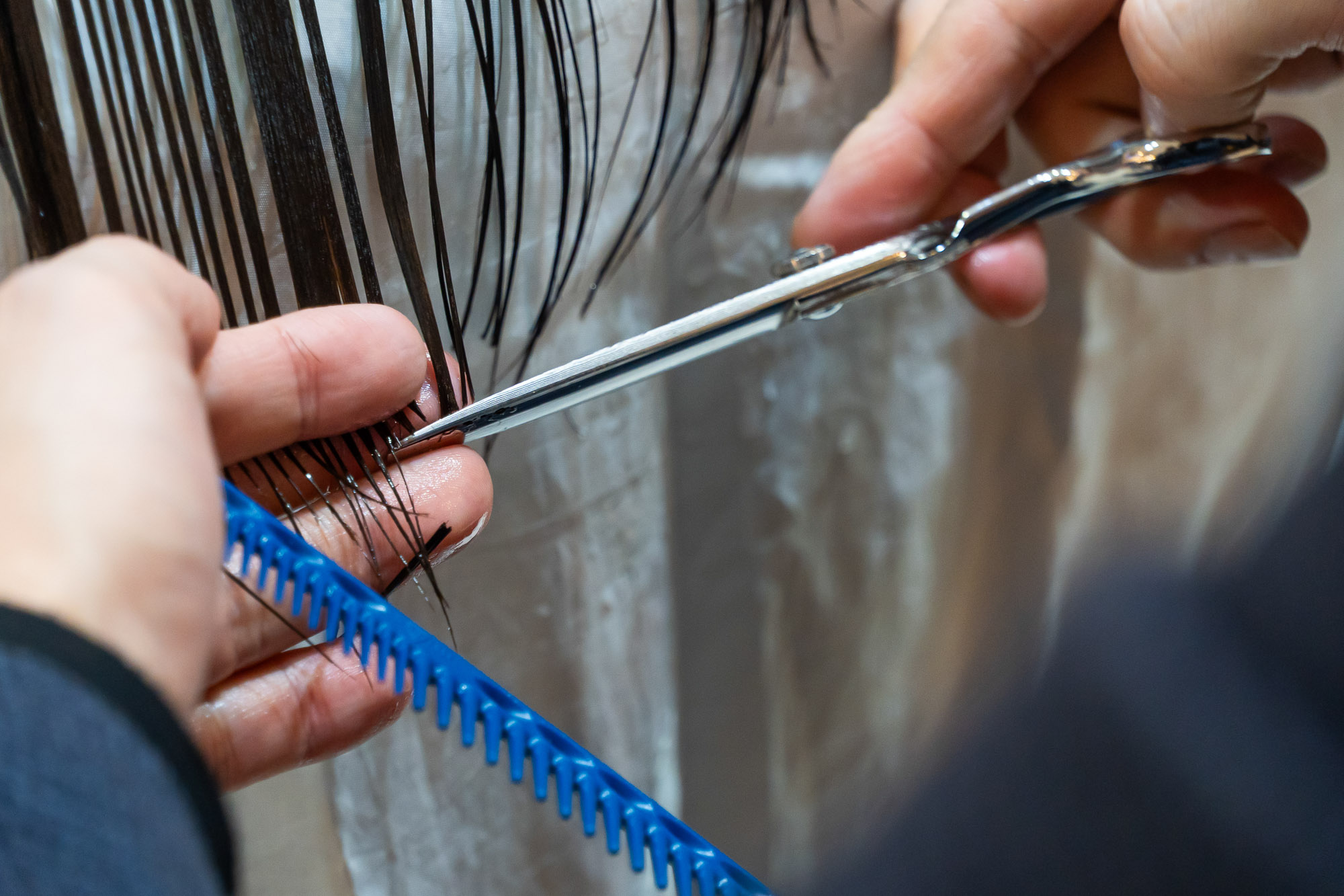 私たちについて