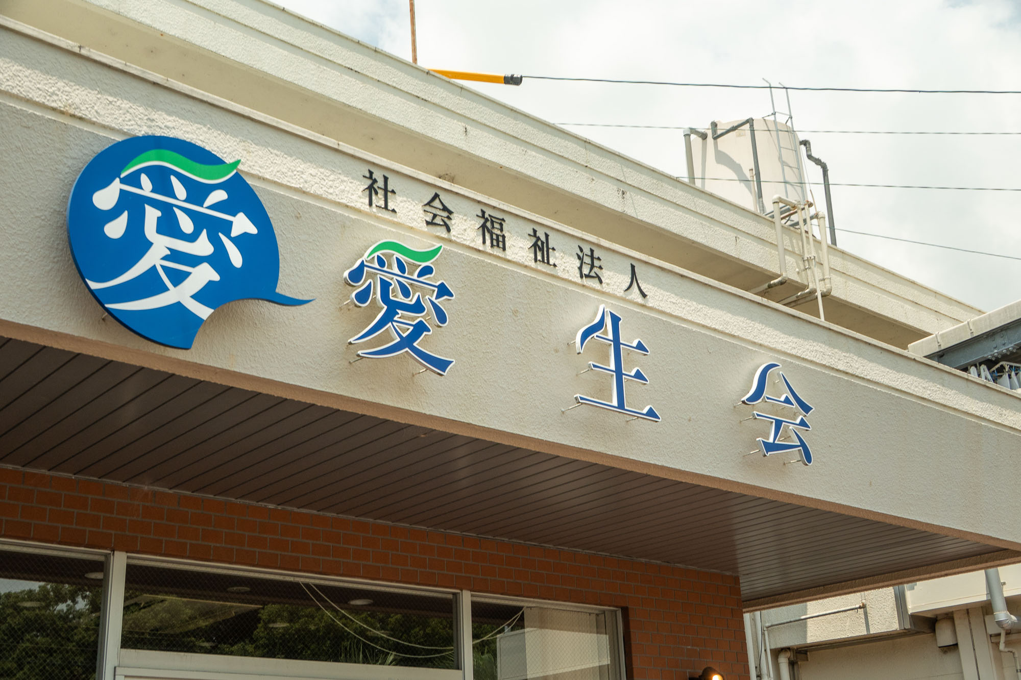 法人について